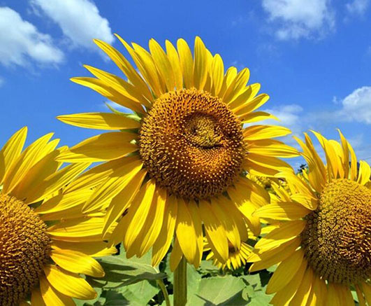 1481535229626203.jpg 溫暖1.jpg