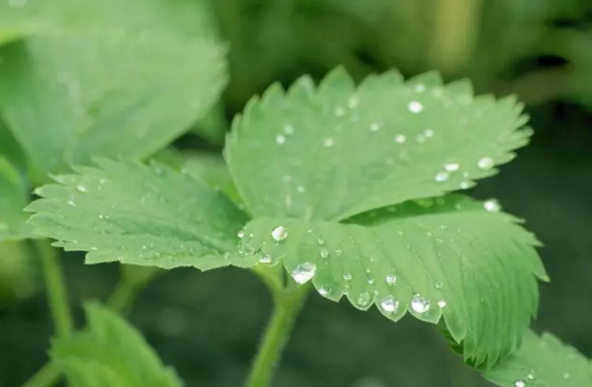 1493257877956692.png 06.png