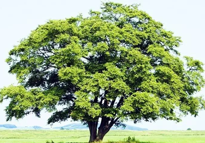 1493258866606986.png 02.png