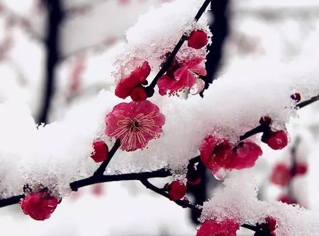 1493258943275330.png 06.png