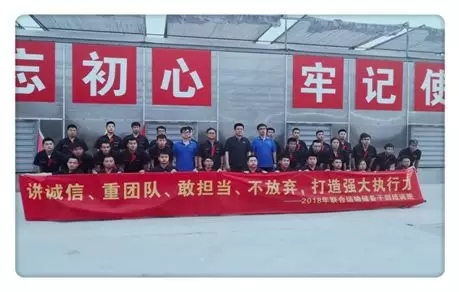 1528949512574111.jpg 5.webp.jpg